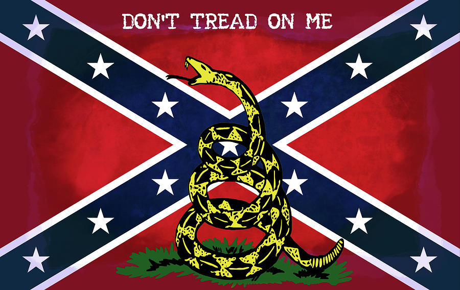 Badass dont tread on me rebel flags.