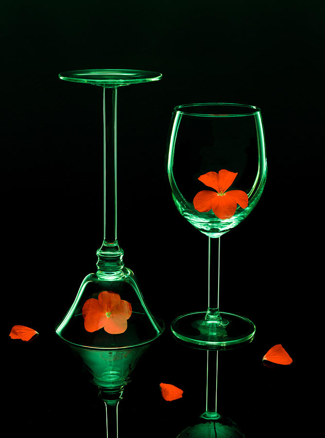 Glass And Geranium Photograph by Shimei Yan