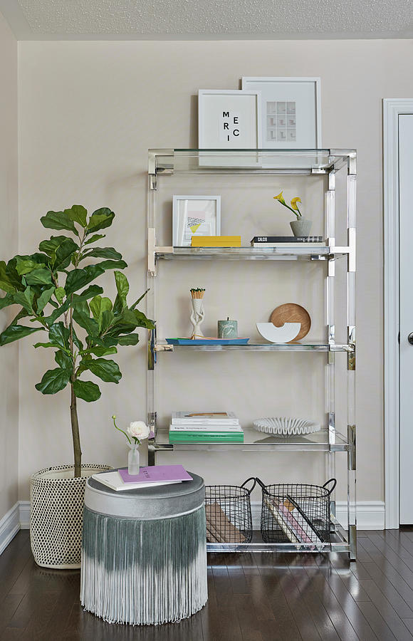 Glass And Stainless Shelving Filled With Books, Flowers And Various Items, Potted Fig Tree And Stool With Ombre Fringe Photograph by Stephani Buchman