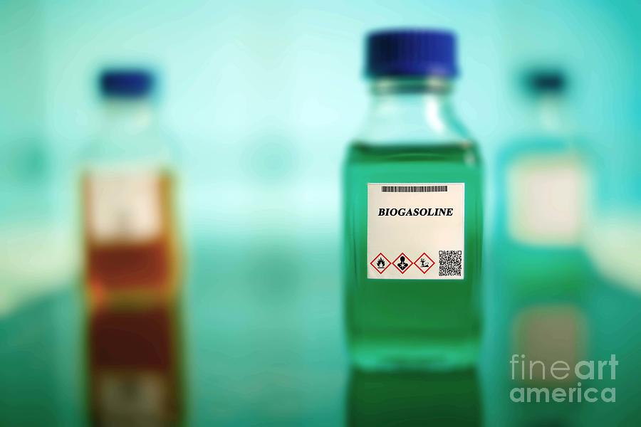 Bottle Photograph - Glass Bottle Of Biogasoline by Wladimir Bulgar/science Photo Library