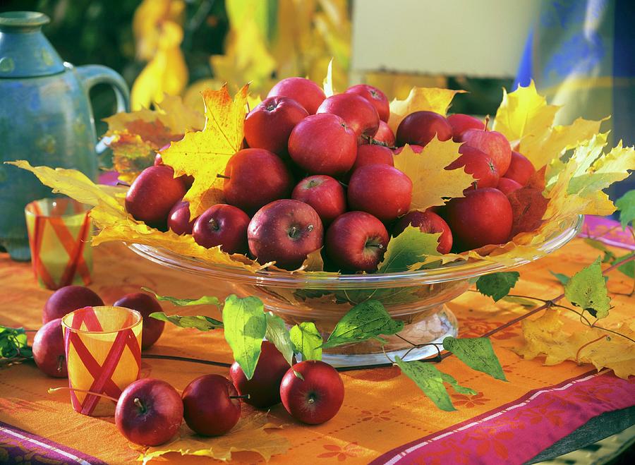 Glass Bowl Of Maple Foliage acer And Red Apples malus Photograph by Strauss, Friedrich