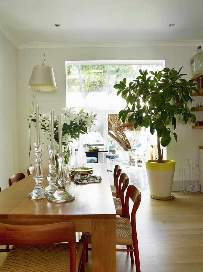 Glass Candlesticks On Oak Dining Table With Matching Chairs In Front Of Rubber Plant Next To Wide, Open Doorway In Background Photograph by Rachael Smith