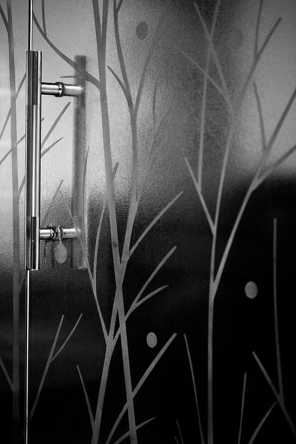 Glass Door in Black and White Photograph by Prakash Ghai