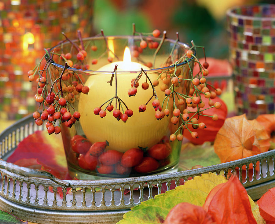 Glass, Filled And Decorated With Pink rosehip With Ball Candle Photograph by Friedrich Strauss