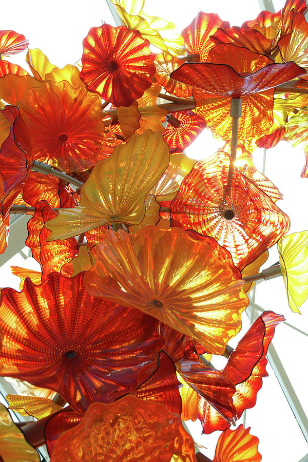 Glass flowers with sunlight Photograph by Steve Estvanik