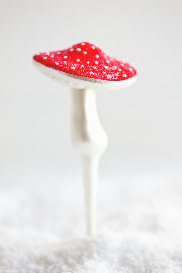 Glass Fly Agaric In Snow Photograph by Martina Schindler