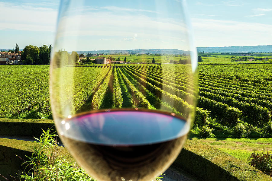 Wine Digital Art - Glass Of Amarone Wine by Franco Cogoli