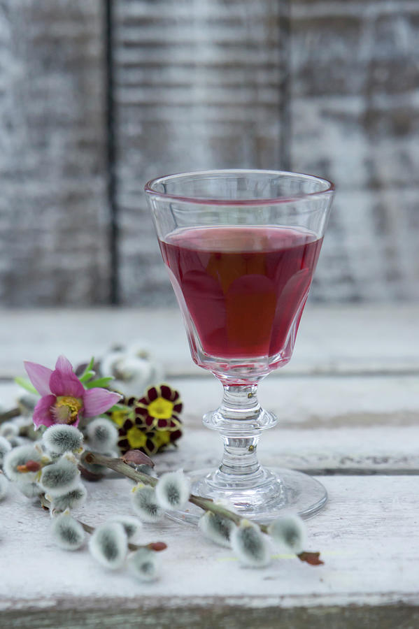 Glass Of Chokeberry Juice, Pasque Flower pulsatilla Vulgaris, Willow Catkins And Primulas Photograph by Martina Schindler