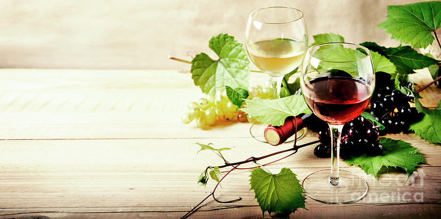 Glass of red and white wine, bottle and grape vine on vintage wo Photograph by Jelena Jovanovic