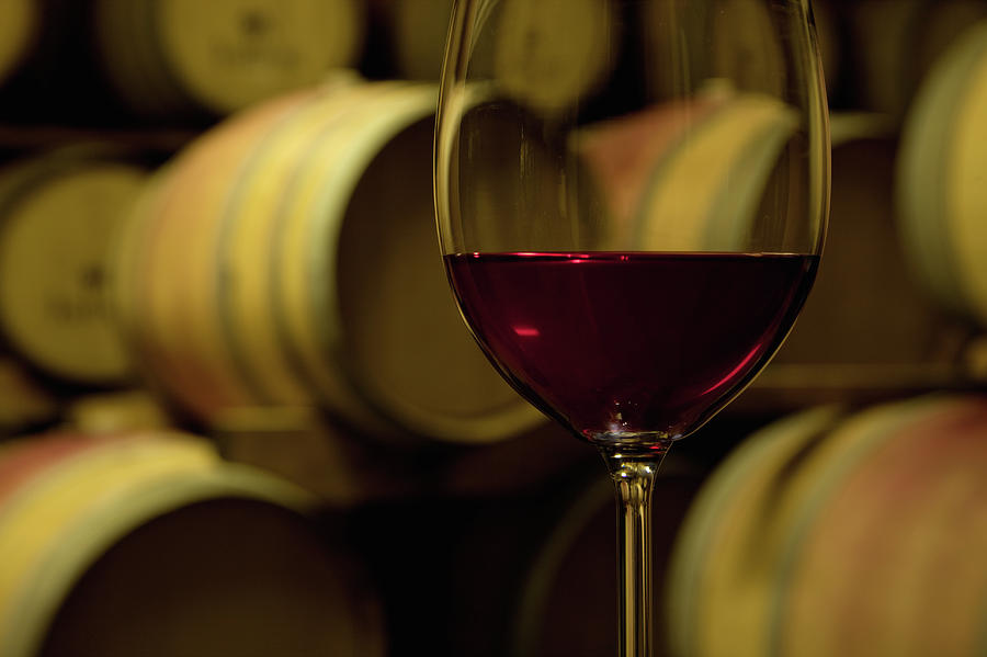 Glass Of Red Wine In Wine Cellar Photograph by Siegfried Layda Glass Of Red Wine In Wine Cellar Photograph by Siegfried Layda