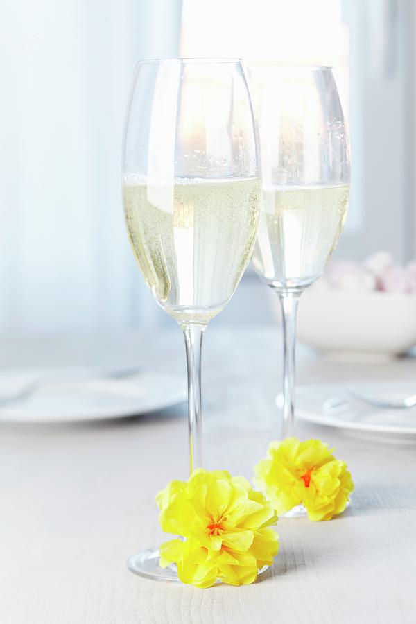Glass Of Sparkling Wine Decorated With Tissue Paper Pompoms Photograph by Franziska Taube