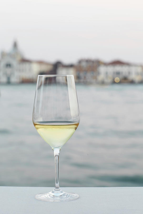 Glass Of White Wine Digital Art by Lisa Linder