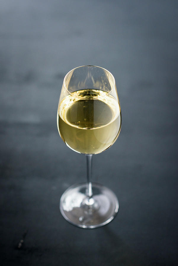 Glass Of White Wine Photograph by Manuela Rther