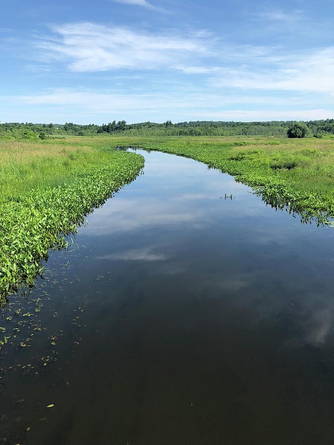 Glass River Photograph by Pat Damiani - Fine Art America