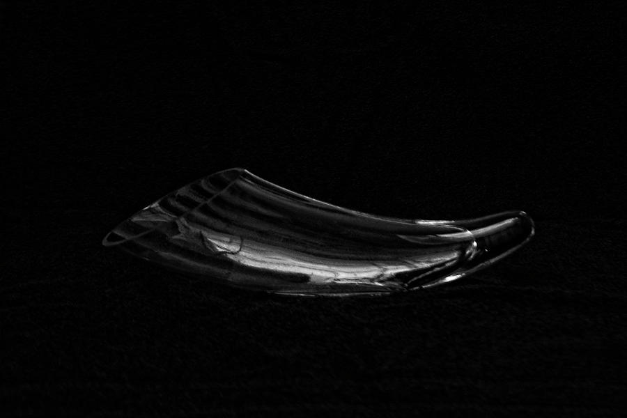 Glass Shofar Photograph by Doc Braham