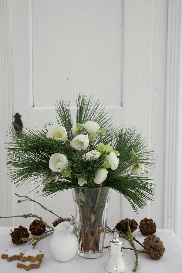 Glass Vase Of Hellebores Photograph by Martina Schindler - Fine Art America