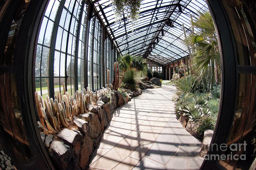 Architecture Photograph - Glasshouse Of Tropical Plants by Maria Mosolova/science Photo Library