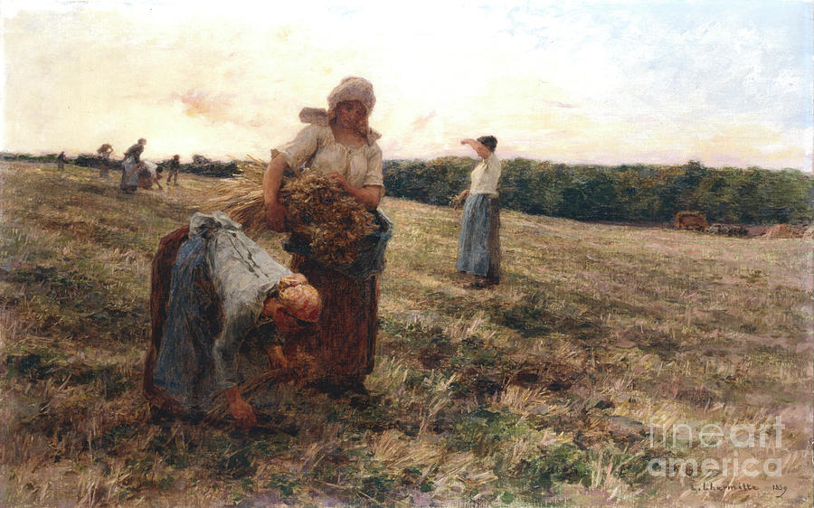 Gleaners At Sunset, 1889. Artist Drawing by Print Collector