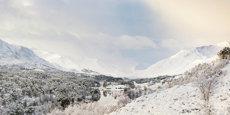 Glen Affric Winter Panorama Photograph by Veli Bariskan