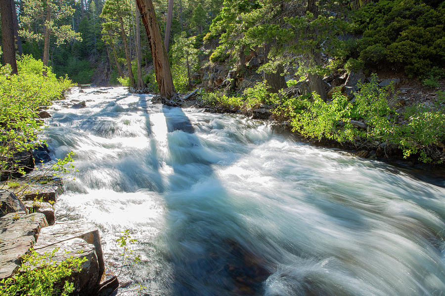 Glen Alpine Creek 2 Photograph by Joe Medina Fine Art America