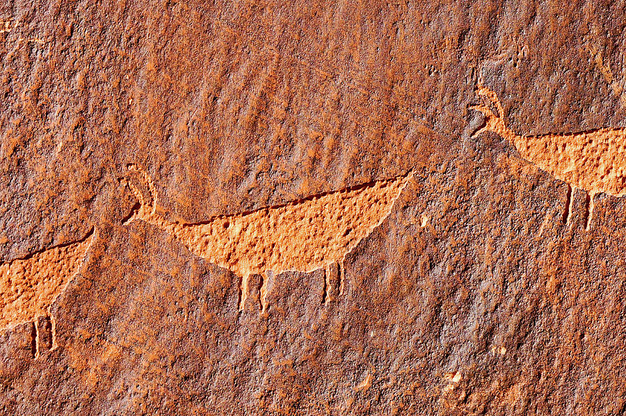 Glen Canyon Petroglyph 003 Photograph by Richard A Brown