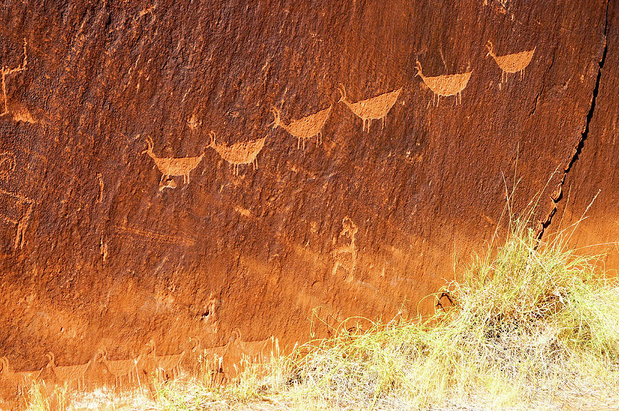 Glen Canyon Petroglyph 005 Photograph by Richard A Brown