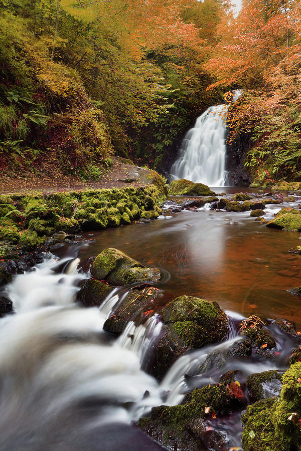 Glenoe Lower Waterfall Photograph by Northern Irish Photography