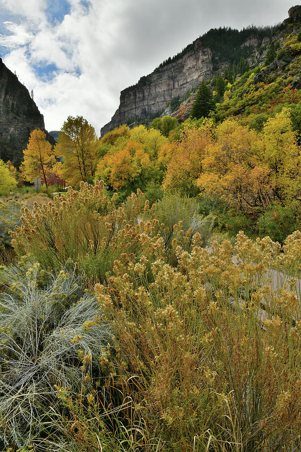 Glenwood Canyon Fall Colors at Hanging Lake Exit Photograph by Ray Mathis