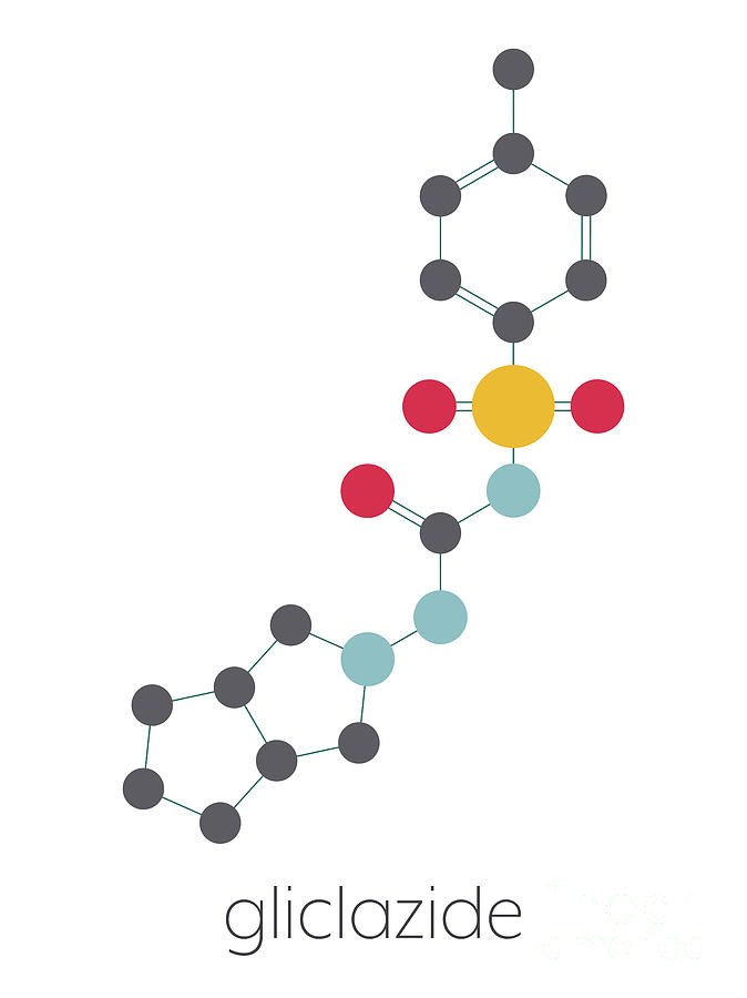 Gliclazide Diabetes Drug Molecule Photograph by Molekuul/science Photo ...