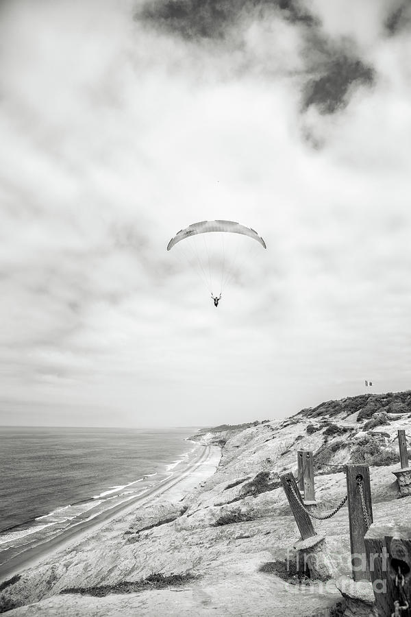 Gliding Above Torrey Pines Photograph by Becqi Sherman