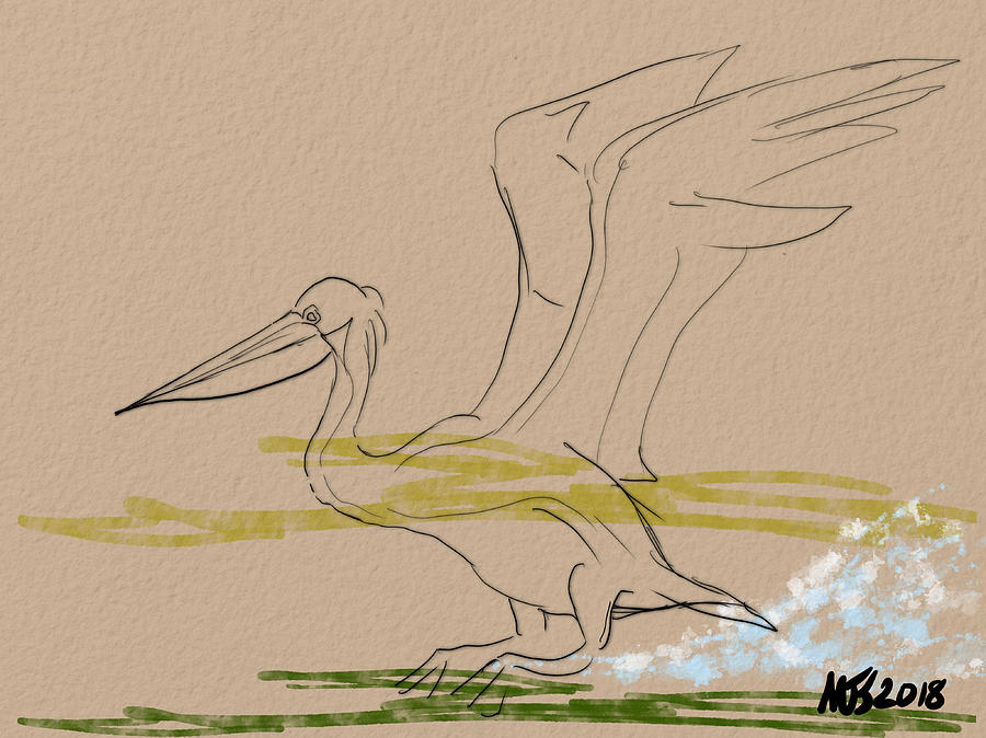 Gliding In Digital Art by Michael Kallstrom Fine Art America