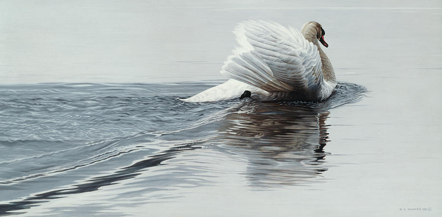 Gliding Swan Painting by Ron Parker