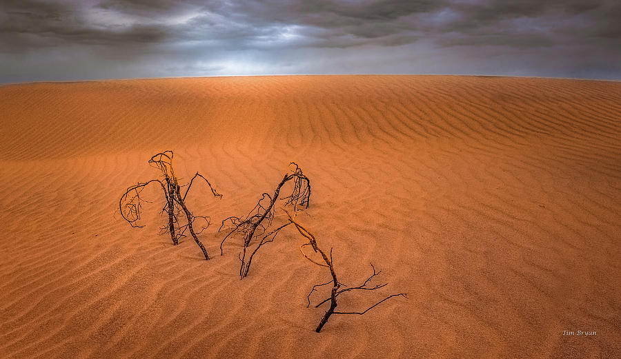 Landscape Photograph - Glimmer of Light in a Dark  Desert Sky by Tim Bryan
