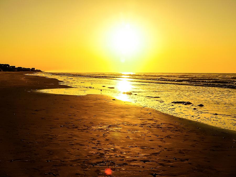 Glistening Sand of Sunrise Photograph by Shawn M Greener