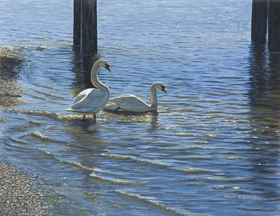 Glistening Water Swans Painting by Bruce Dumas