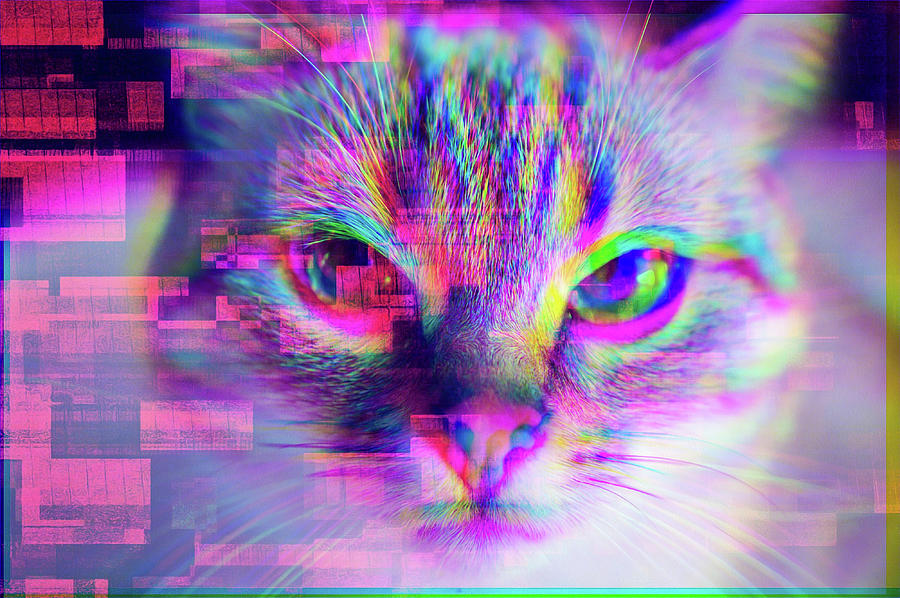 Glitch Art Trippy Cat Digital Art by Matthias Hauser - Pixels