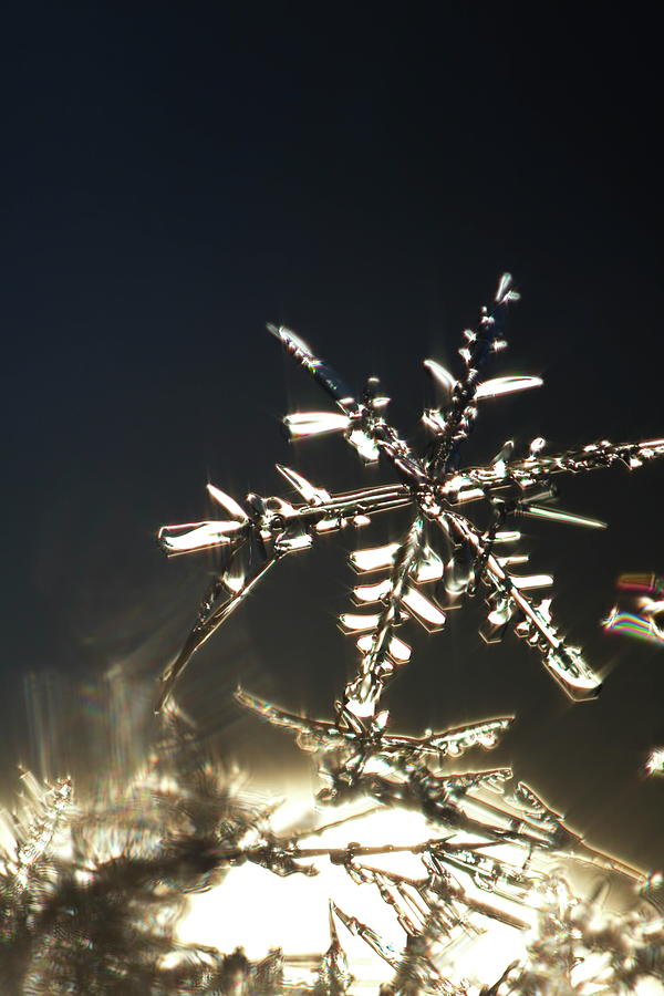 Glittering snowflake Photograph by Intensivelight