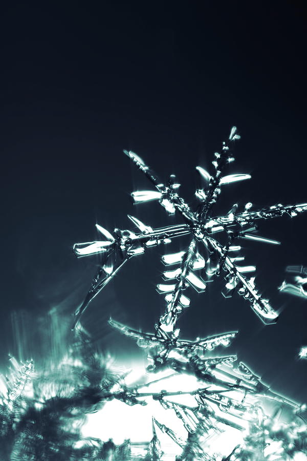 Glittering snowflake - monochrome blue Photograph by Intensivelight
