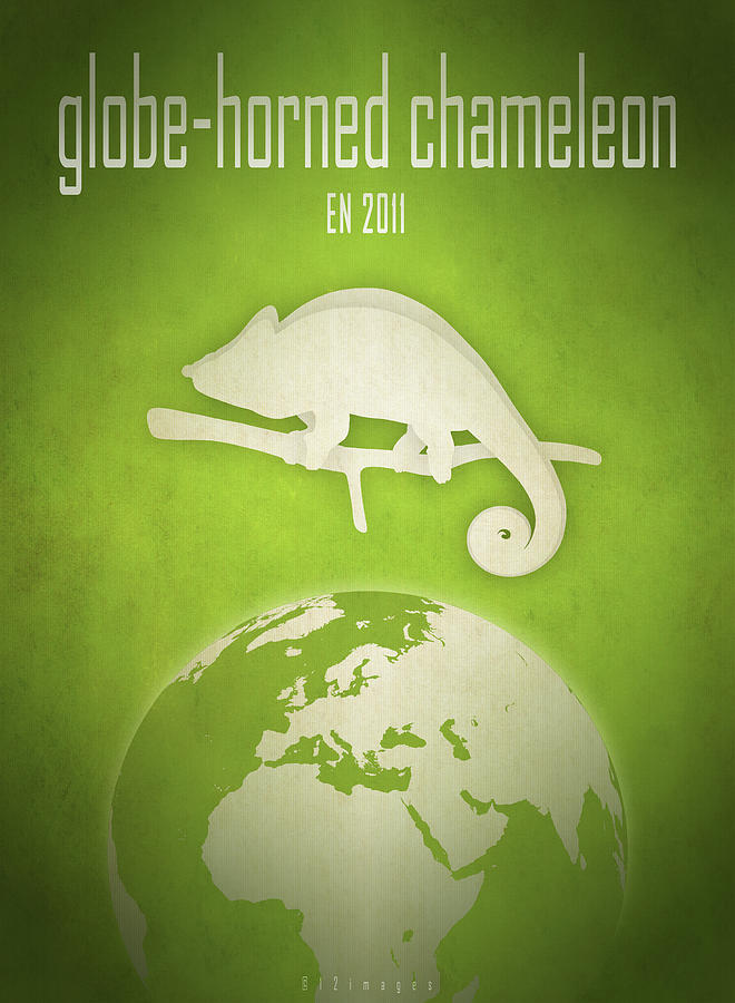 Globe-horned chameleon Digital Art by Moira Risen