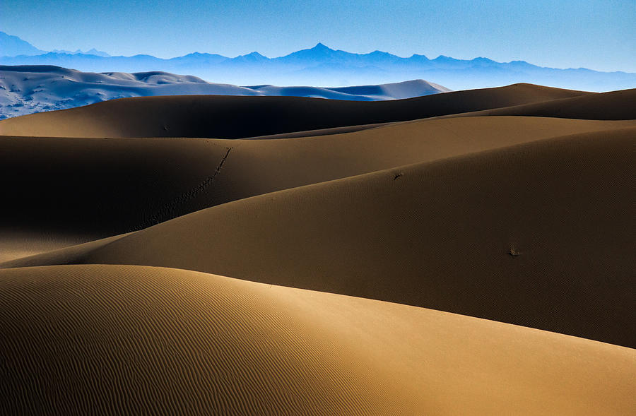 Gloomy Desert Photograph by Babak Mehrafshar