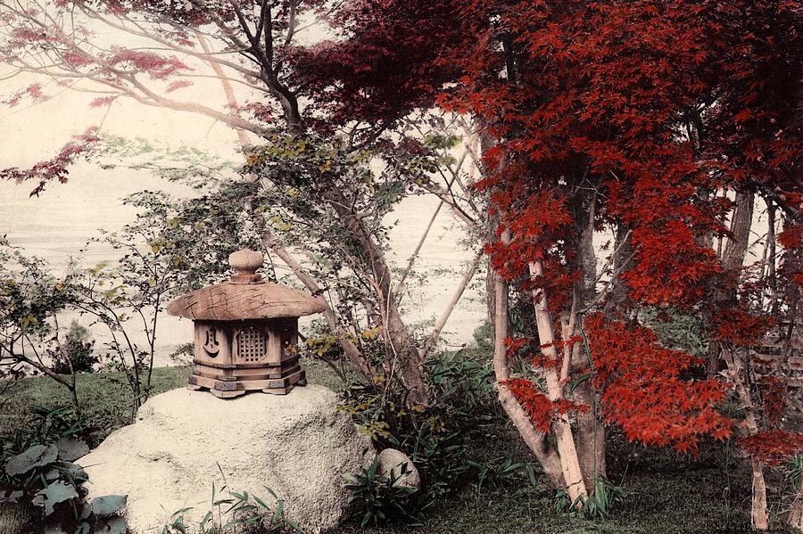 Glories Of Autumn Photograph by Spencer Arnold Collection Glories Of Autumn Photograph by Spencer Arnold Collection