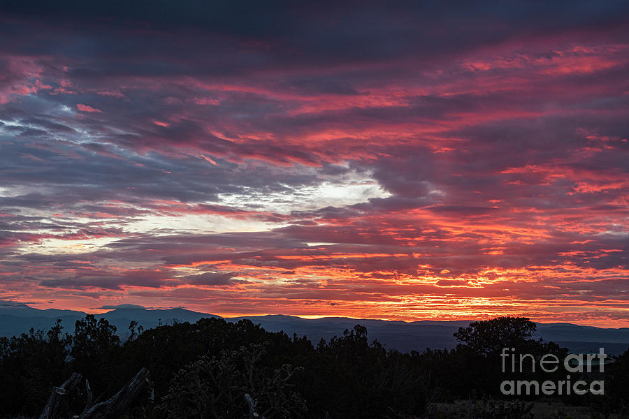 Glorious Dawn Photograph by Steven Natanson