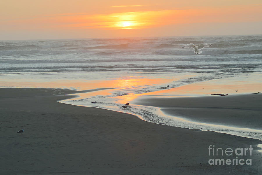 Glorious Evening on The Oregon Coast Photograph by Beverly Guilliams