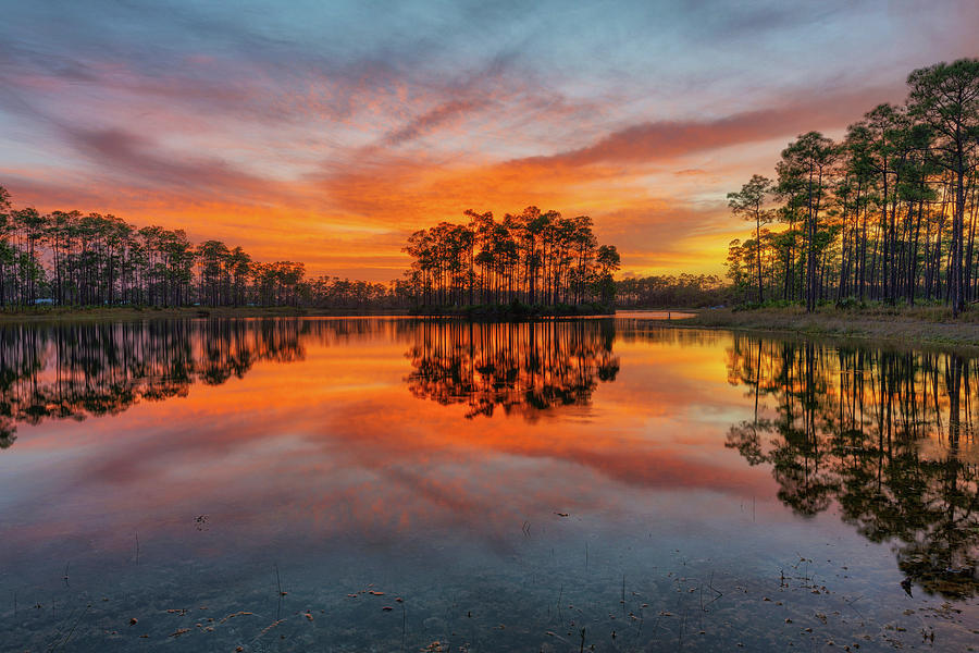 Glorious Everglades Sunset II Photograph by Claudia Domenig - Pixels