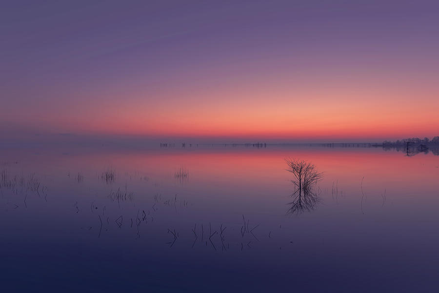 Sunset Photograph - Glorious Lakeshore by Liyun Yu