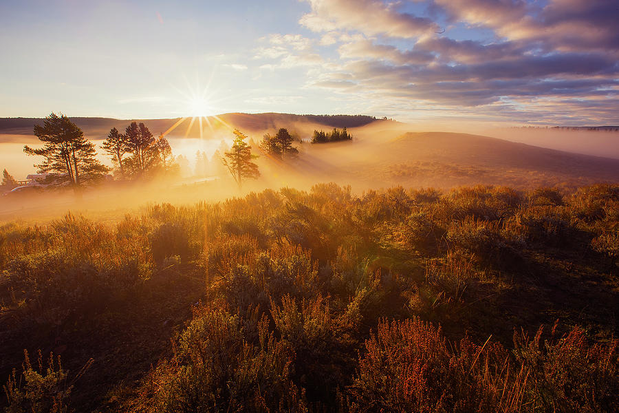 Glorious Morning, Yellowstone Photograph by Vincent James