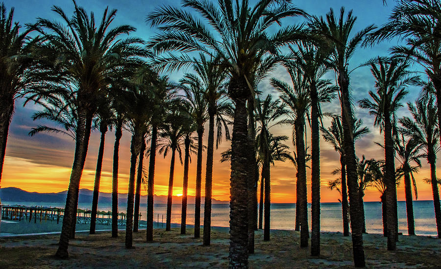 Glorious Spain Morning Photograph by Marcy Wielfaert