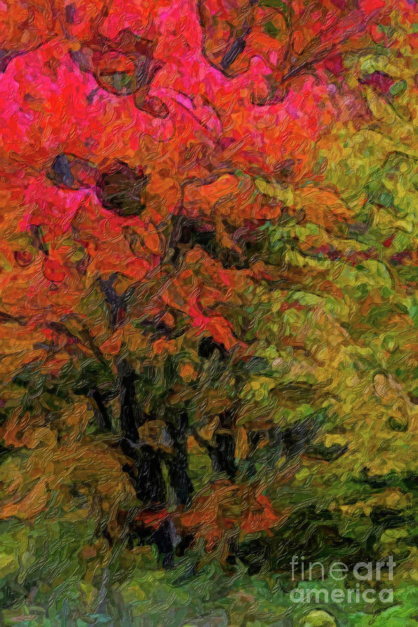 Glory of Trees by C L Lassila Glory of Trees by C L Lassila