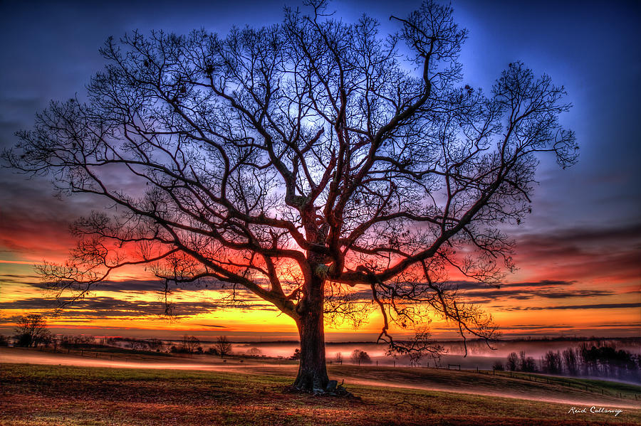 Glory To God Sunrise Oak Madison County Georgia Landscape Art #2 Photograph by Reid Callaway