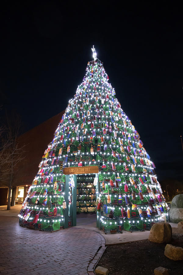 Gloucester Lobster Trap Christmas Tree Photograph